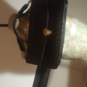 Brahmin with a pocket back